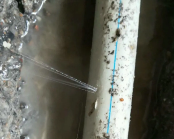 木兰卫生间测漏水多少钱